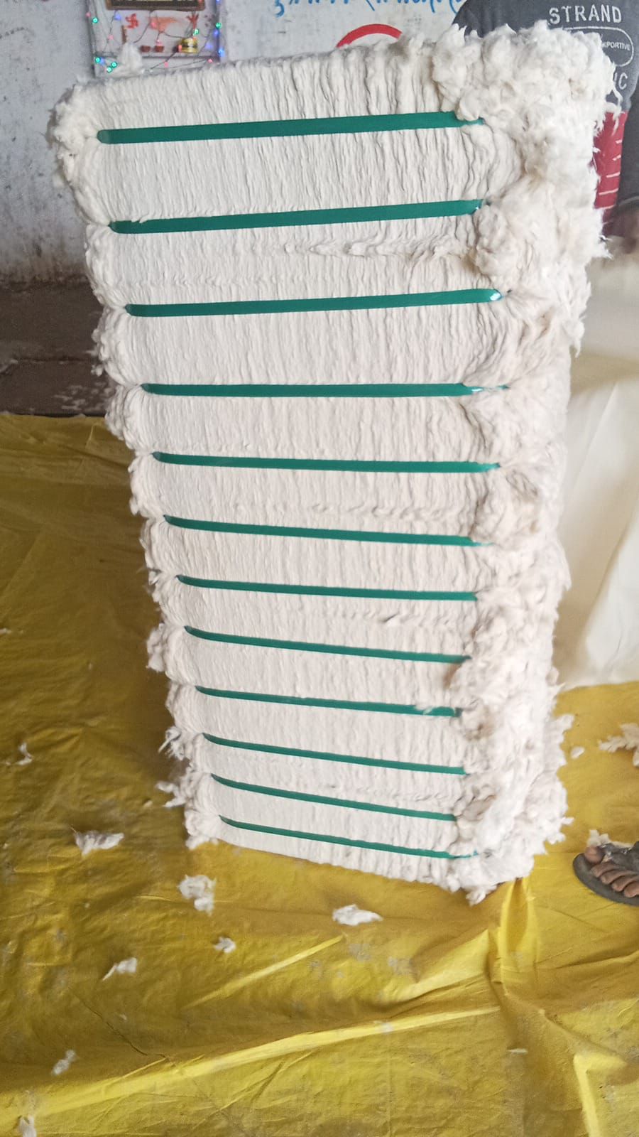 Currency Paper Comber